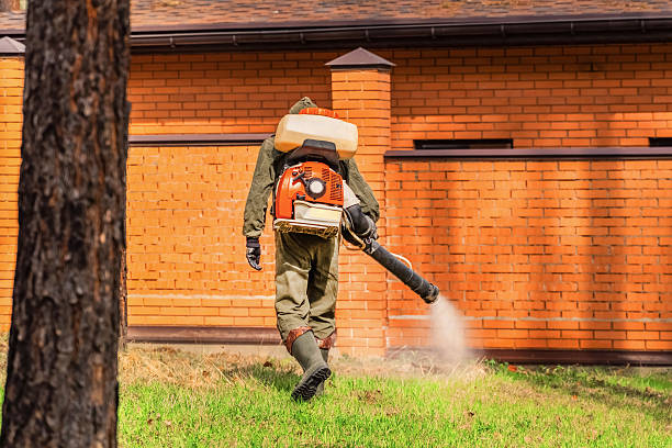 Bed Bug Clearance Verification and Documentation in Belleair